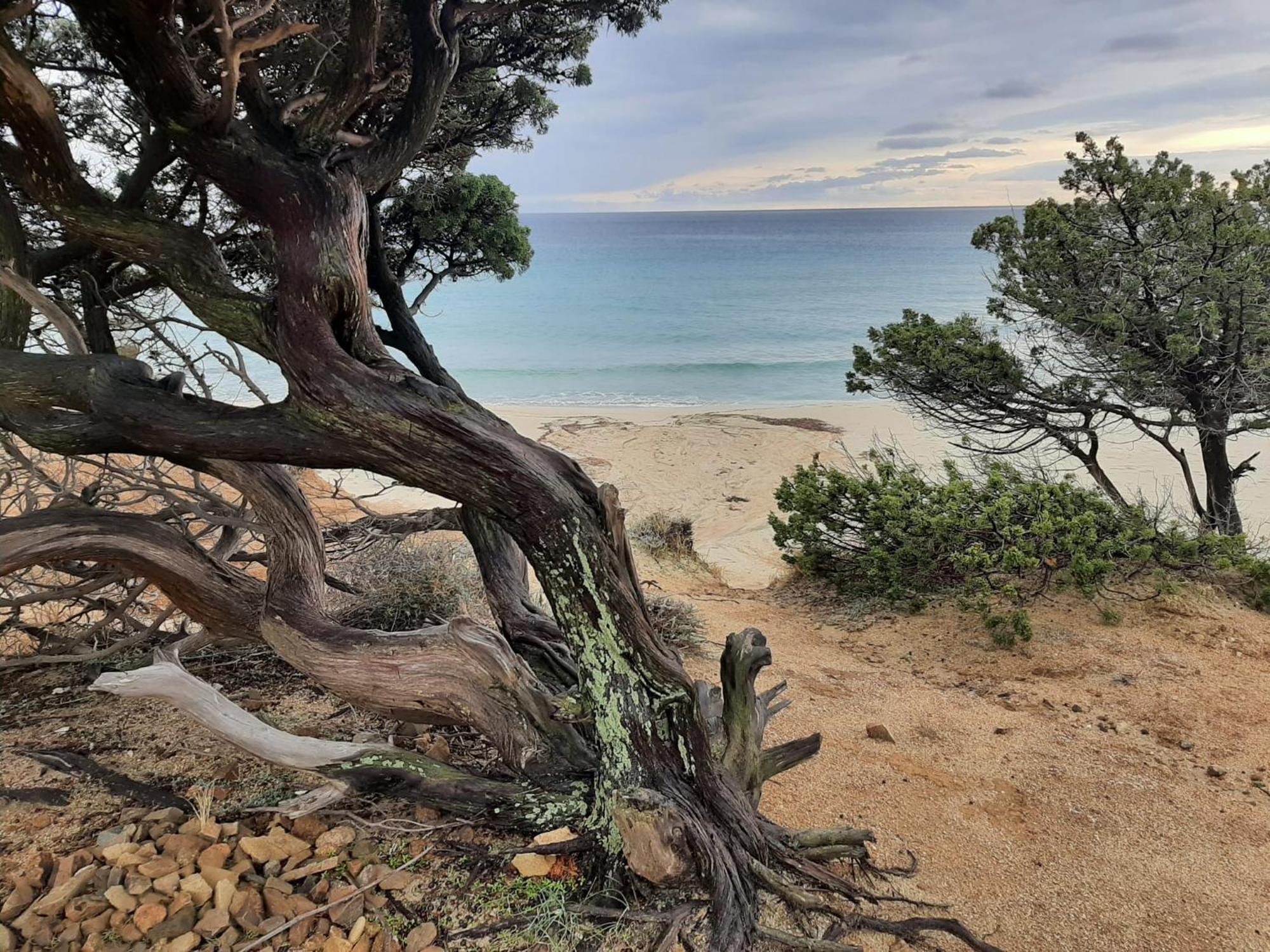 Resonance Experience - Tranquil Room Close To Beaches And Sacred Sites Sant Isidoro  Buitenkant foto